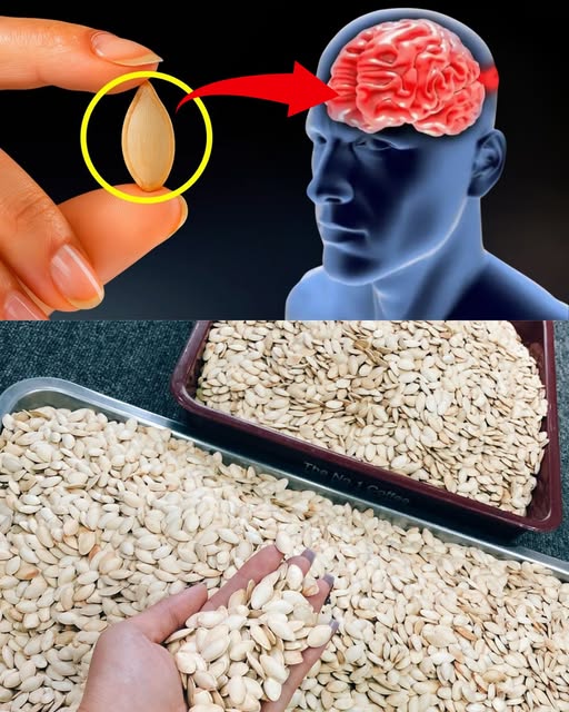 Semillas de Calabaza y Salud Cerebral