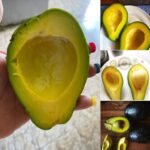 Los Beneficios del Aguacate: ¿Por Qué Deberías Comerlo Todos los Días?