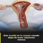Impacto de la Interrupción de la Vida Íntima en tu Cuerpo
