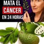 Guanábana: El Secreto Natural para Combatir el Cáncer