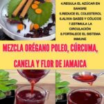 Infusión Natural de Orégano Poleo, Cúrcuma, Canela y Flor de Jamaica: Beneficios y Receta