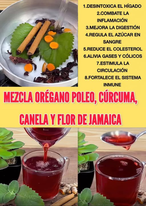 Infusión Natural de Orégano Poleo, Cúrcuma, Canela y Flor de Jamaica