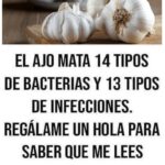 Propiedades y Beneficios del Ajo: Un Poderoso Remedio Natural