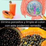 Papaya y Semillas: La Solución Natural para Limpiar el Colon y Eliminar Parásitos