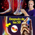 Mejora Tu Circulación: 15 Alimentos Naturales Después de los 40