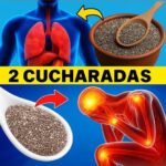 Beneficios de Comer Semillas de Chía por la Noche: ¡Transforma Tu Salud en Solo Una Semana!