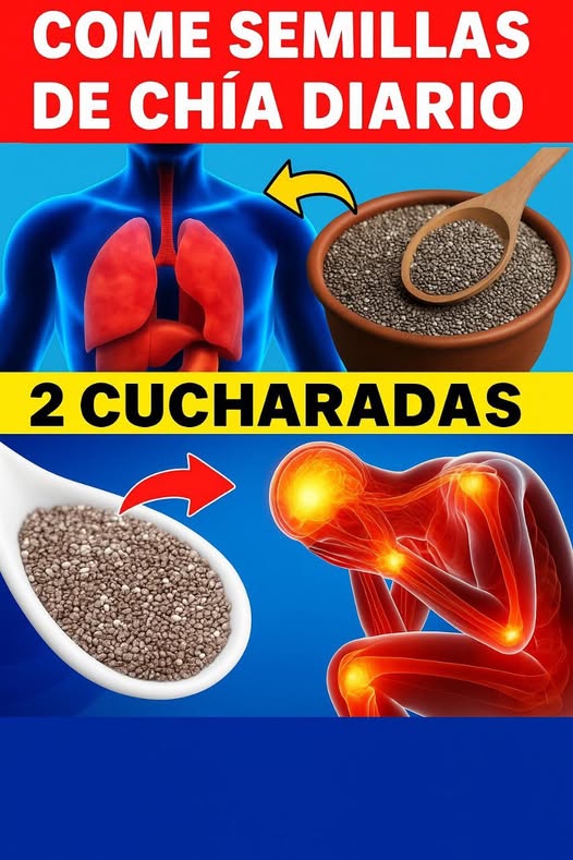 Imagen sobre el consumo diario de semillas de chía