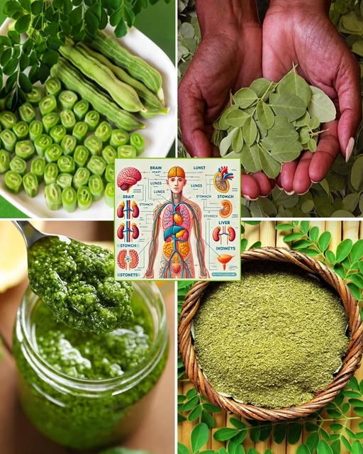 Beneficios de la moringa para la salud