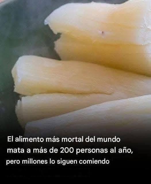 Trozos de yuca fresca