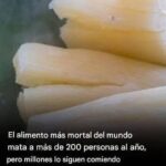 Yuca: Deliciosa y Peligrosa, Cómo Consumirla de Forma Segura