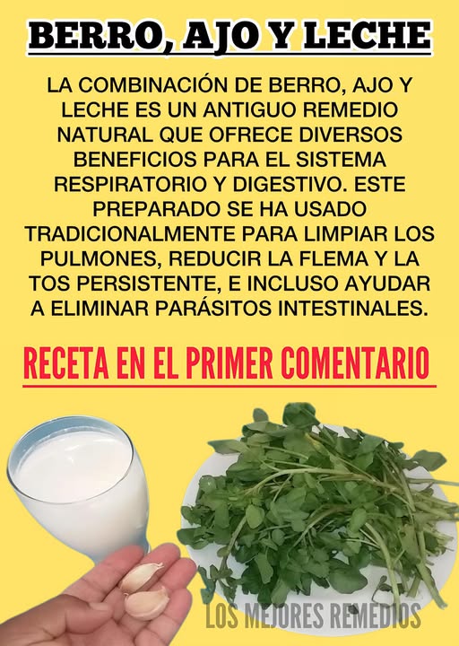 Berro, ajo y leche