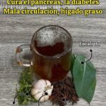 Cura el Páncreas y Mejora Tu Salud con Este Poderoso Té Natural
