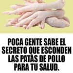 Los Inesperados Beneficios de las Patas de Pollo para tu Salud