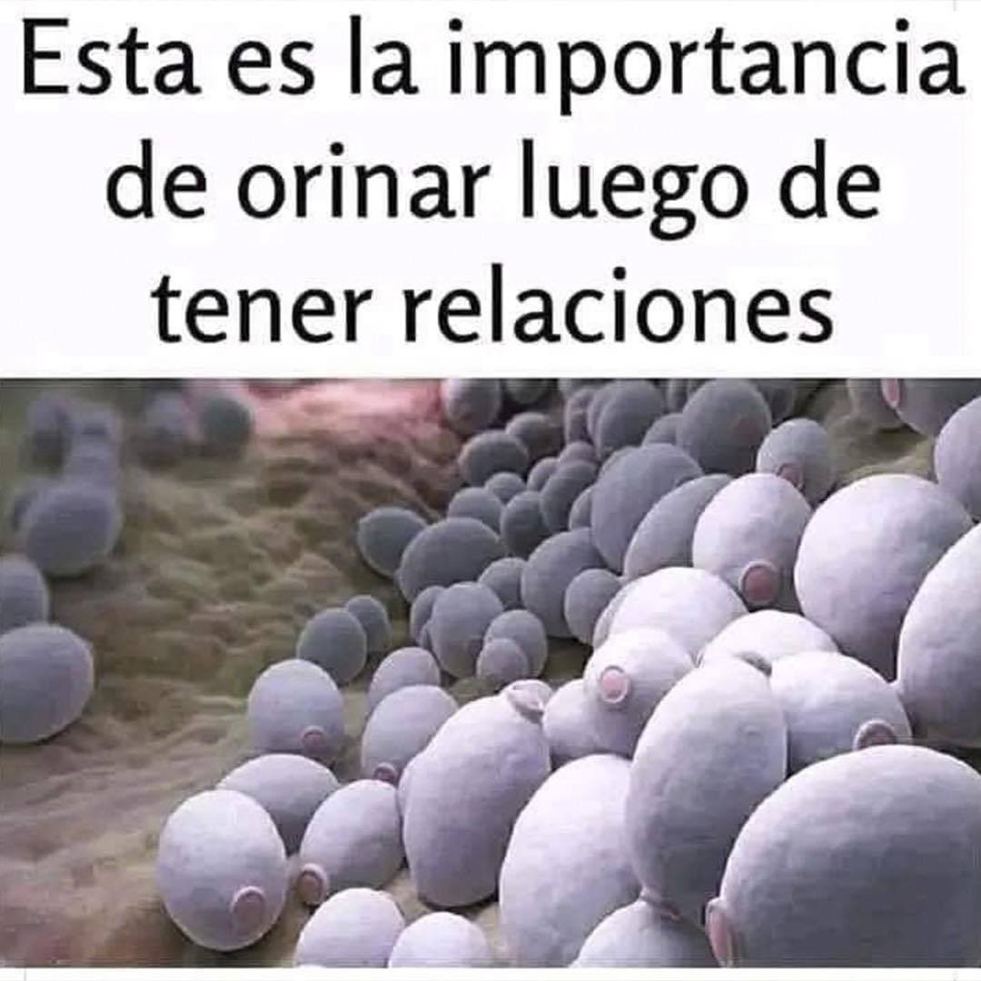 Representación gráfica de bacterias