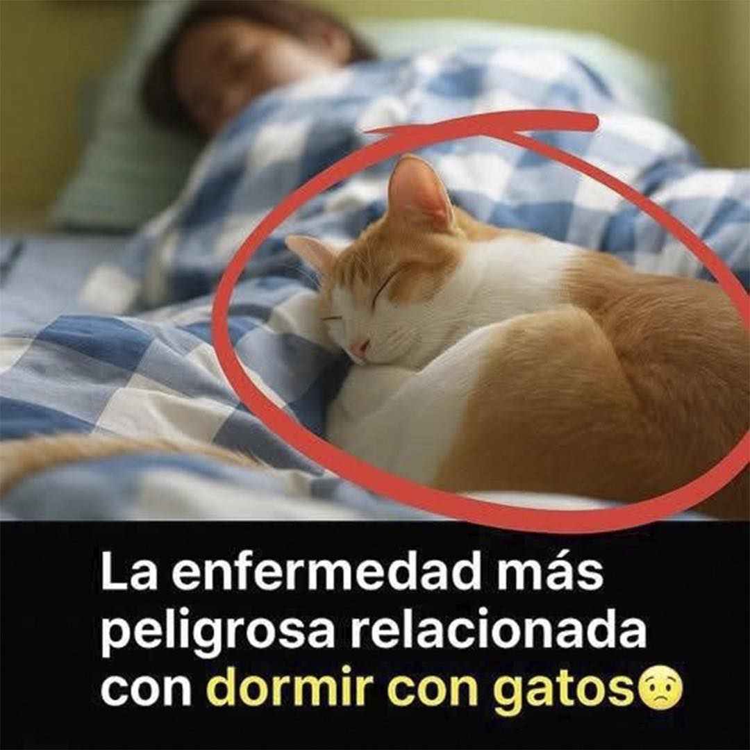 Persona durmiendo con un gato