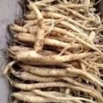 Las Raíces de Ginseng: La Potencia Natural para tu Salud
