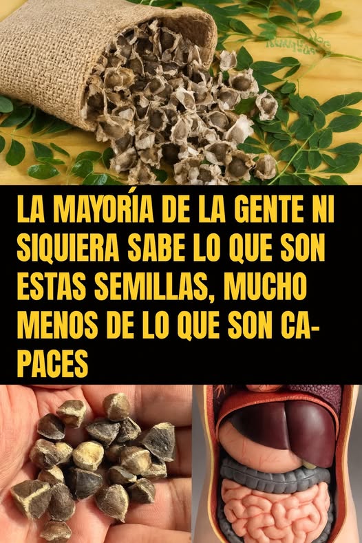 Semillas y sus beneficios
