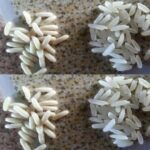 Cómo Identificar el Arroz Real y el Plástico: Consejos Prácticos