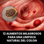 12 Alimentos Milagrosos para una Limpieza Natural del Colon