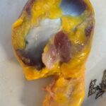 Beneficios y Recetas con Molleja de Pollo: Salud y Sabor en Cada Bocado