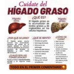 Hígado Graso: Síntomas, Causas y Cómo Revertirlo