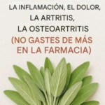 Salvia: Un Remedio Natural para Mejorar tu Salud