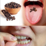 Los Beneficios de Masticar Clavos de Olor: Salud y Remedios Naturales