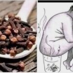 Los Beneficios del Clavo de Olor: Remedios Naturales para la Salud de la Mujer