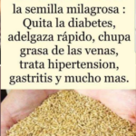 La Semilla Milagrosa: ¿Realmente un Don de la Naturaleza?