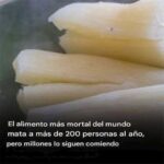 Yuca: Cómo Disfrutar de este Alimento Seguro y Delicioso