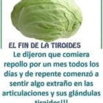 El Repollo y su Impacto en la Tiroides y Articulaciones: Mitos y Realidades