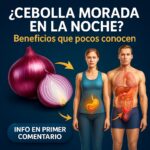 Descubre los Beneficios de Consumir Cebolla Morada por la Noche
