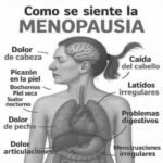 Consejos para una Menopausia Feliz: Cómo Afrontar esta Etapa con Bienestar