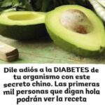Los Sorprendentes Beneficios del Aguacate para la Salud: Una Guía Completa
