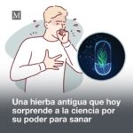 El Poder Curativo de una Planta Milenaria: Estrés, Salud y Más