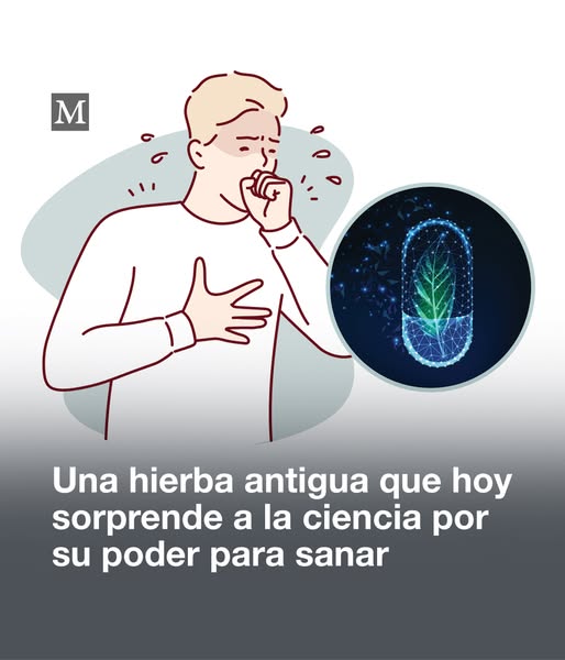 Planta medicinal