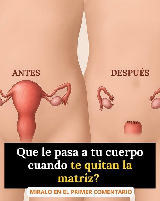 Comparación anatómica antes y después de una histerectomía