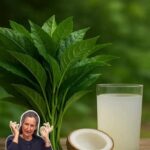 Transforma tu Salud con un Vaso Diario de Coco