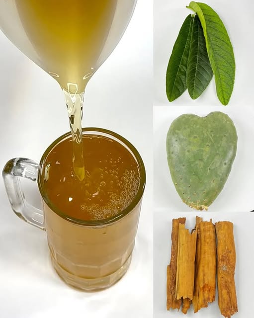 Ingredientes para infusión de guayaba, nopal y canela
