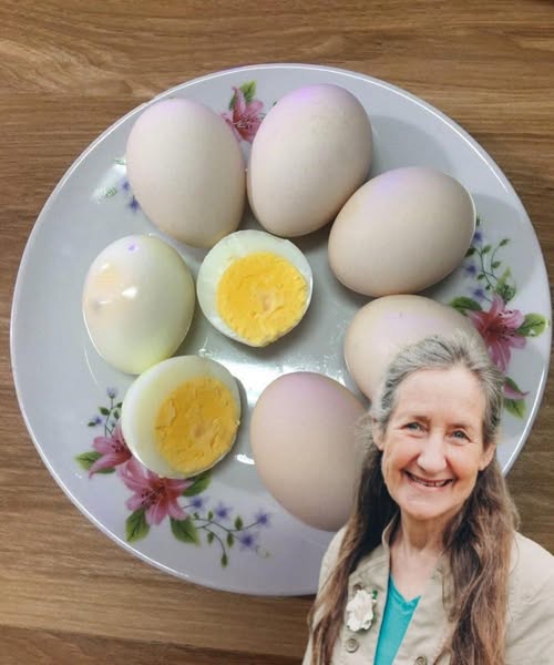 Huevos cocidos