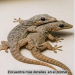 ¿Qué Significa la Presencia de un Gecko en Tu Casa?