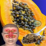 Las Semillas de Papaya: Un Remedio Natural para la Sinusitis y más