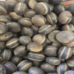 Los Secretos del Aguaje: Beneficios y Recetas para una Vida Saludable