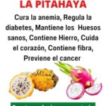 Beneficios de la Pitahaya: La Fruta que Revoluciona tu Salud
