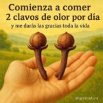 Los Asombrosos Beneficios de Comer Clavos de Olor a Diario