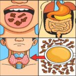 Los Asombrosos Beneficios de los Clavos de Olor para la Salud