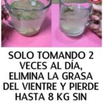 Descubre el Truco Casero Natural para Eliminar la Grasa del Vientre