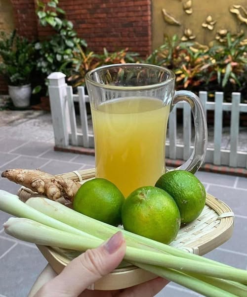 Té de Limón, Jengibre y Limoncillo