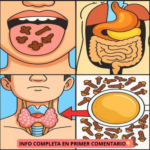 Los Asombrosos Beneficios de los Clavos de Olor para Tu Salud