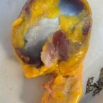 Beneficios de la Molleja de Pollo: Descubre Cómo Este Delicioso Alcance Es Un Aliado Para Tu Salud